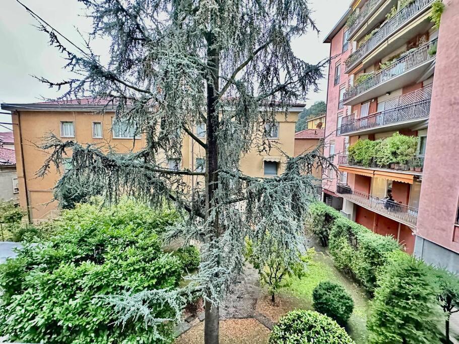 Luxury House Near The Funicular Apartment Bergamo Ngoại thất bức ảnh